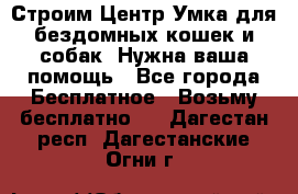 Строим Центр Умка для бездомных кошек и собак! Нужна ваша помощь - Все города Бесплатное » Возьму бесплатно   . Дагестан респ.,Дагестанские Огни г.